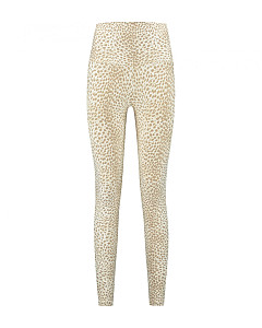 CLASSIC CHEETAH