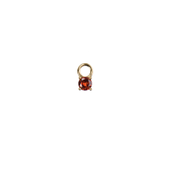 BIRTHSTONE JANUARY CHARM