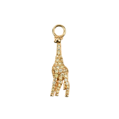 ID CHARM