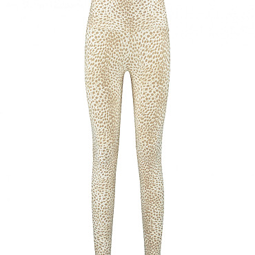 CLASSIC CHEETAH