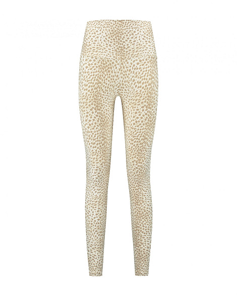 CLASSIC CHEETAH