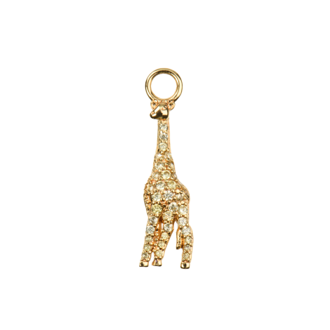 ID CHARM