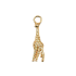 ID CHARM