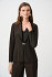 BLAZER 263736